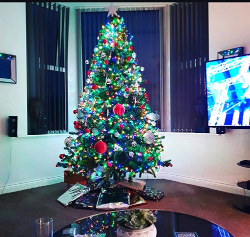 Colorado spruce artificial - colorado,