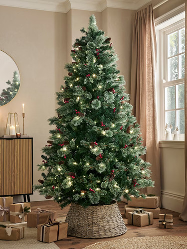 Green cone berry 7ft - &,
