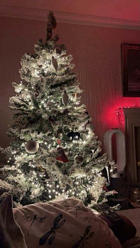 Snowy flocked christmas tree - flocked,