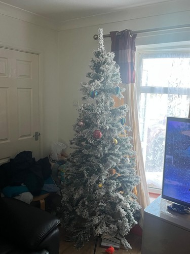 7ft snow flocked christmas - flocked,