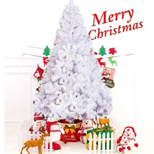 White christmas tree pine - tree,